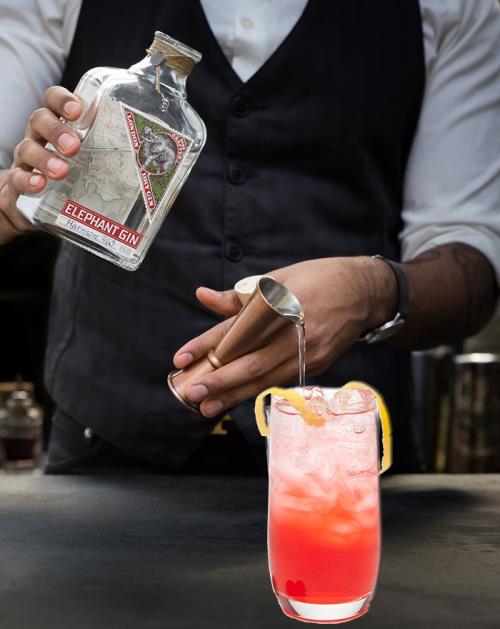Har du prøvet Sloe Fizz Cocktailen med Elephant Gin ?