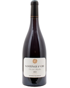 Domaine Aurore Bachelet Santenay 1er Cru "Clos des Mouches" 2021 13%