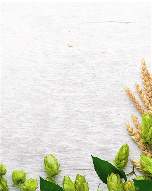 Bygsortens betydning for din whisky