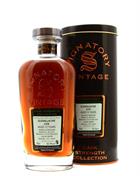 Glenallachie 2008/2021 Signatory Vintage 12 år Speyside Single Malt Scotch Whisky 70 cl 62,9%