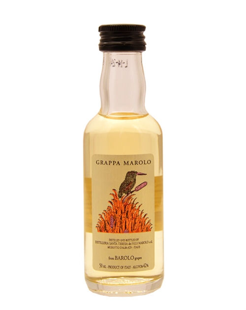 Marolo Grappa Miniature di Barolo Fadlagret Italian Grappa 5 cl 42%