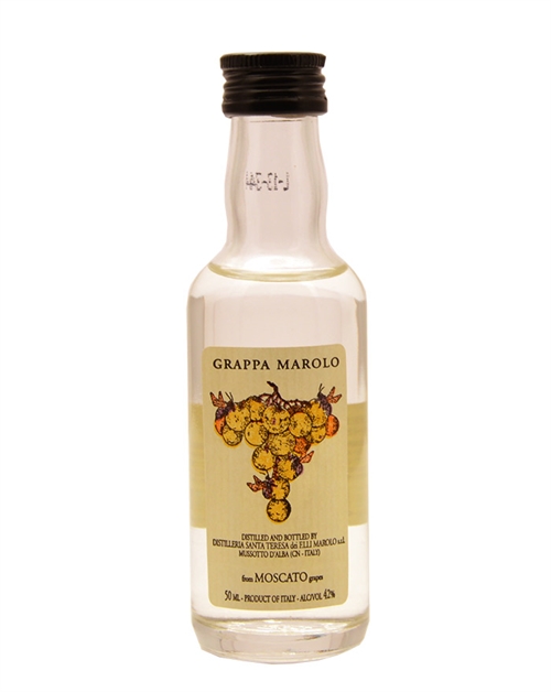 Marolo Grappa Miniature di Moscato Italian Grappa 5 cl 42%