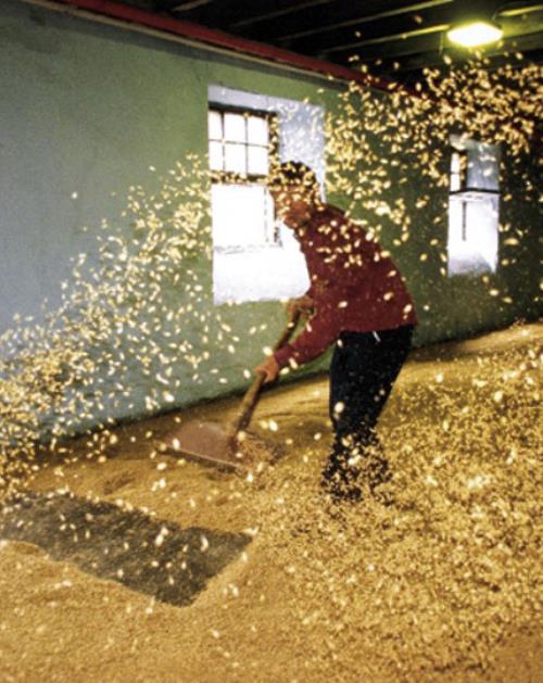 Floor Malting - hvad betyder det?