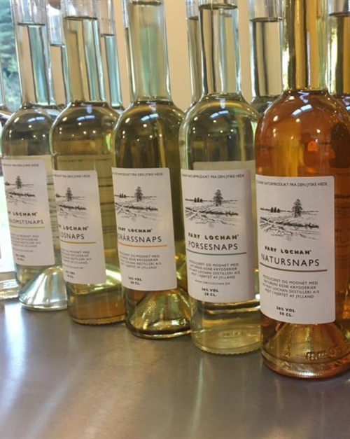 Fary Lochan Snaps blog