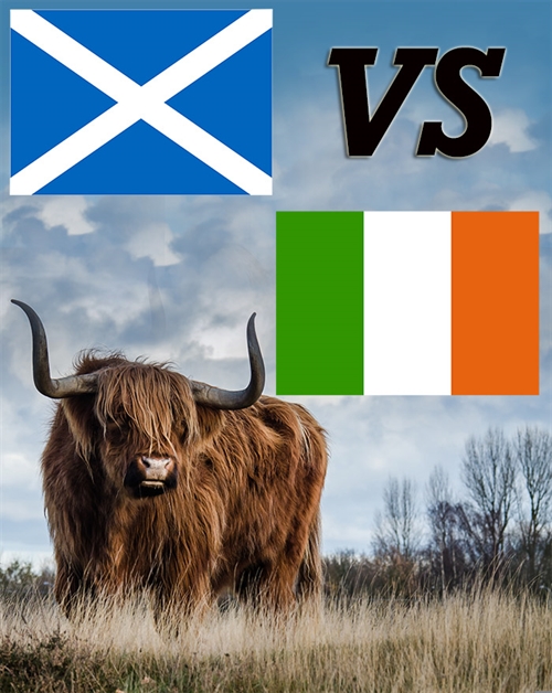 Kender du forskellen på Skotsk whisky og Irsk whiskey