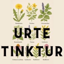 Urtetinktur